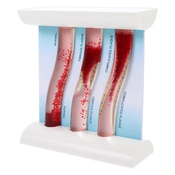 Медицинска Съдова Модел на Манекен на Човешкото Тяло, Анатомический Кръвоносен Съд с Ниско съдържание на PVC